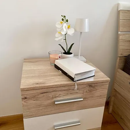 דירה Mirno In Elegantno Stanovanje - Parkirisce, Netflix, Wifi מריבור